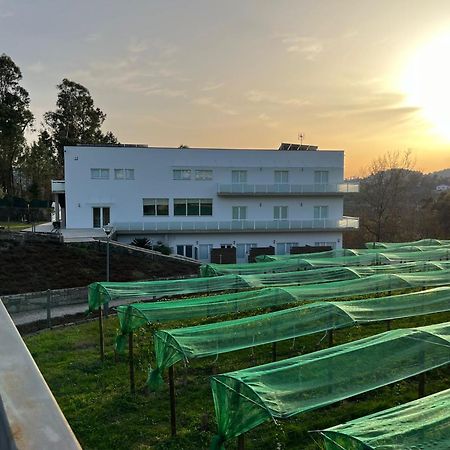 Funileiro, Apartamentos E Quartos 아마레스 외부 사진
