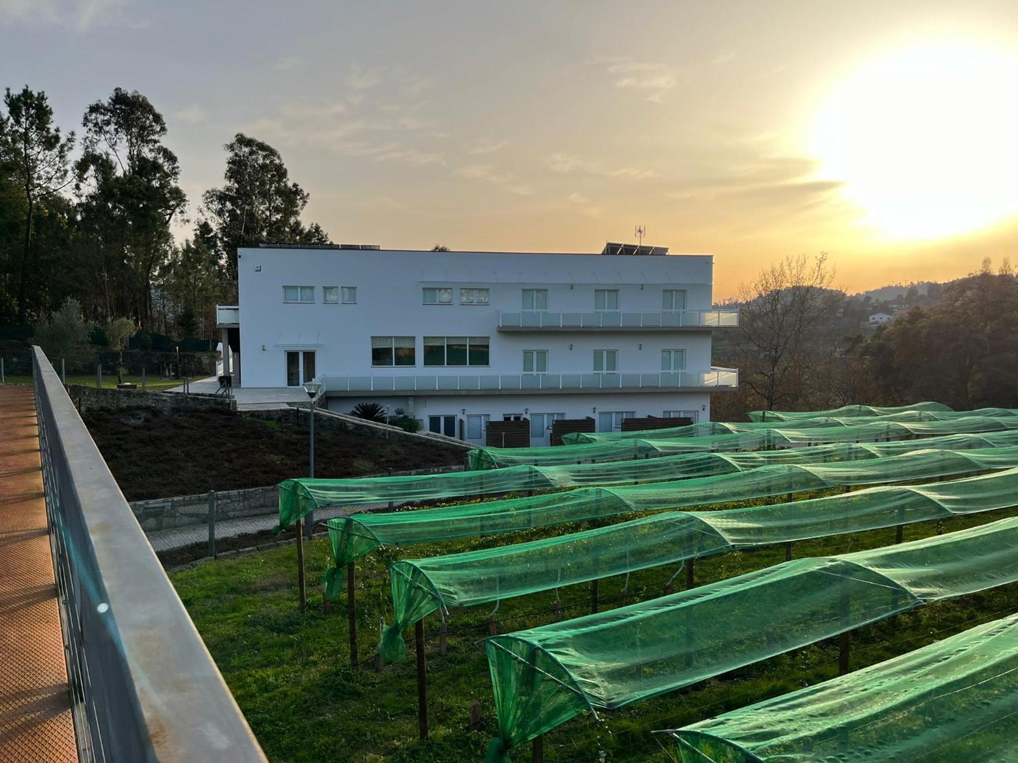 Funileiro, Apartamentos E Quartos 아마레스 외부 사진